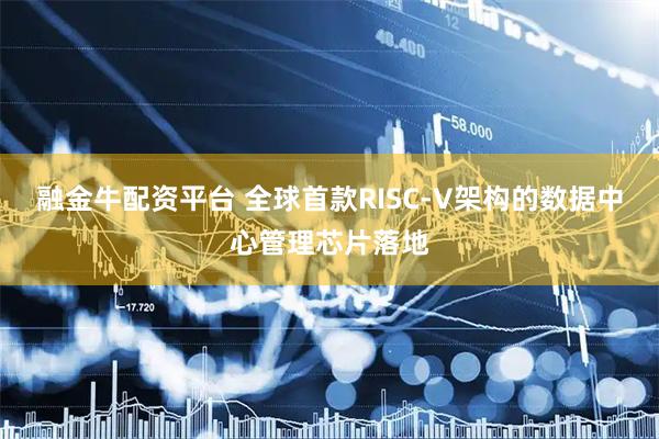 融金牛配资平台 全球首款RISC-V架构的数据中心管理芯片落地