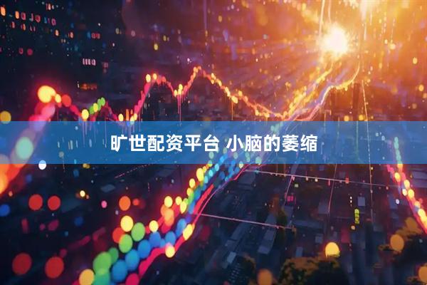 旷世配资平台 小脑的萎缩