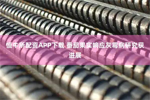 恒牛所配资APP下载 番茄果实响应灰霉病研究获进展