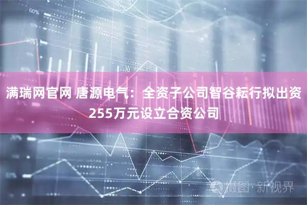 满瑞网官网 唐源电气：全资子公司智谷耘行拟出资255万元设立合资公司
