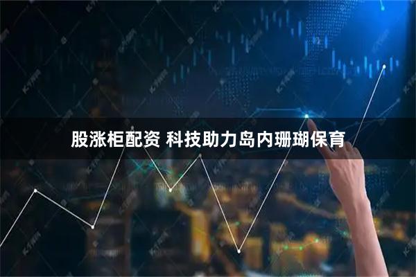 股涨柜配资 科技助力岛内珊瑚保育